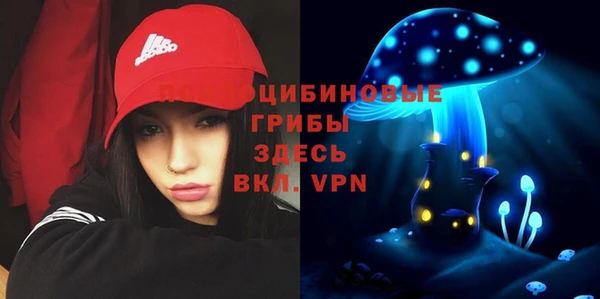 прущая мука Белокуриха
