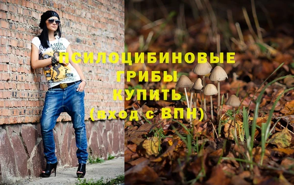 прущая мука Белокуриха