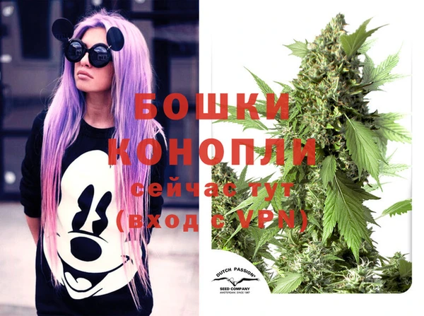 скорость Богданович